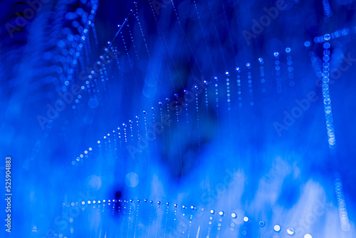 Foto Pattern of morning dew on spider web in blue light