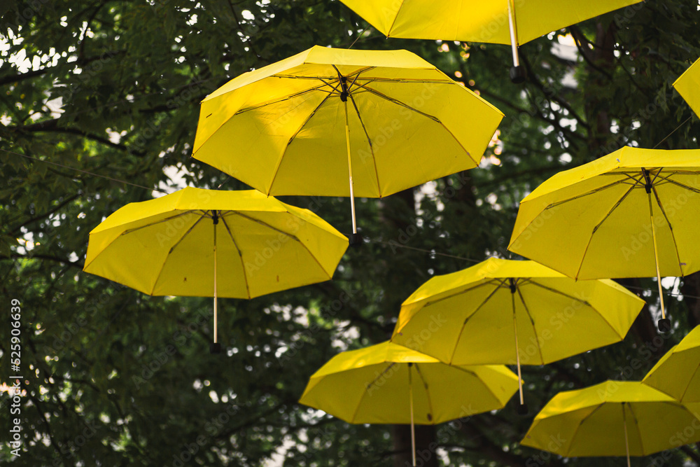 yellow umbrellas in the park