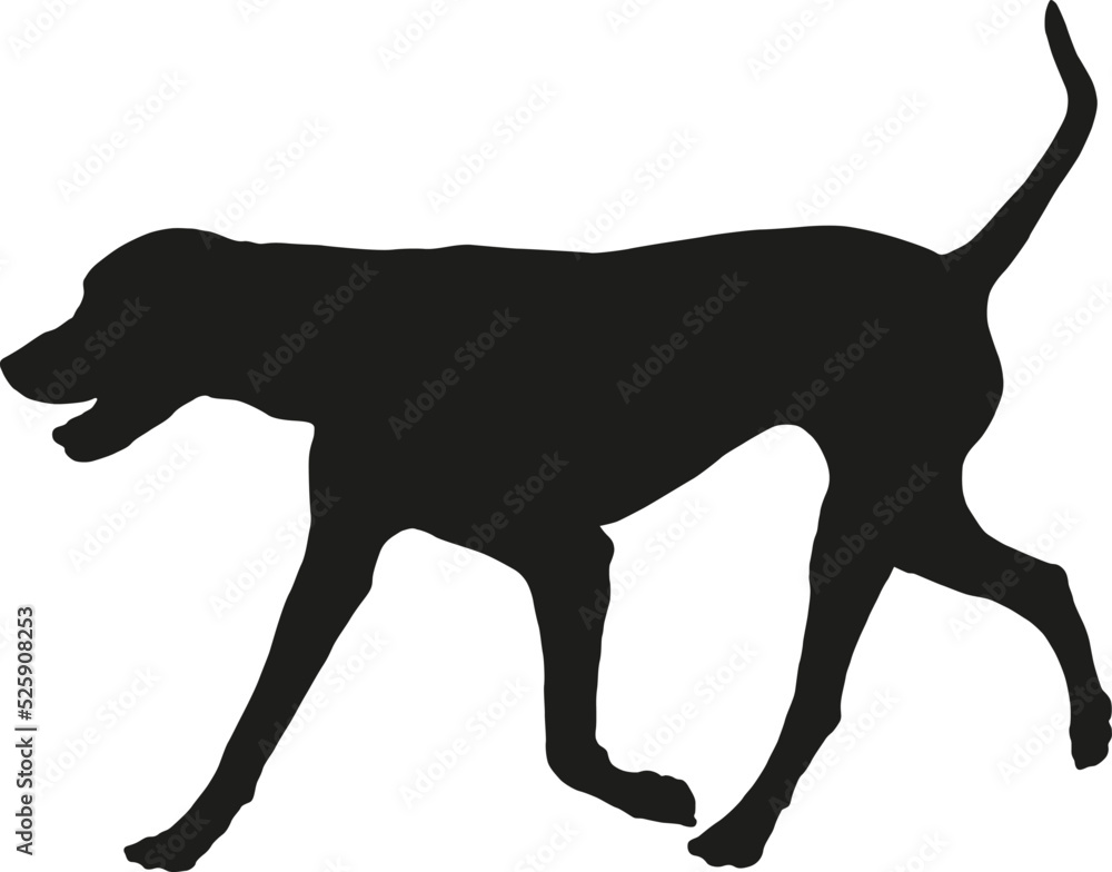 Running dalmatian dog puppy. Black dog silhouette. Pet animals. Isolated on a white background.