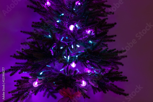 Christmas tree branches with LED purple and blue lights in a dark room