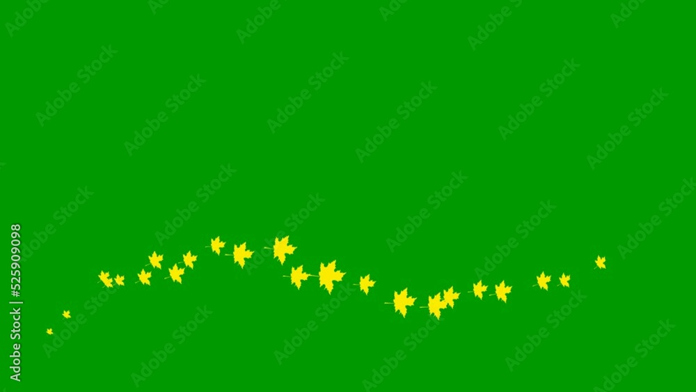 Animated autumn yellow leaves fly from left to right. Golden autumn. Looped video. A wave of flying leaves on green background. Animated autumn yellow leaves fly from left to right. Golden autumn. Looped video. A wave of flying leaves on green background.