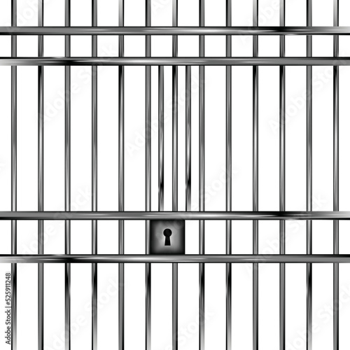 prison bars, prison gate vector