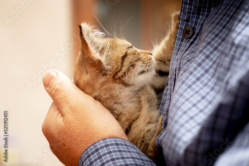 Photo The man holds a small kitten in his arms and hugs him