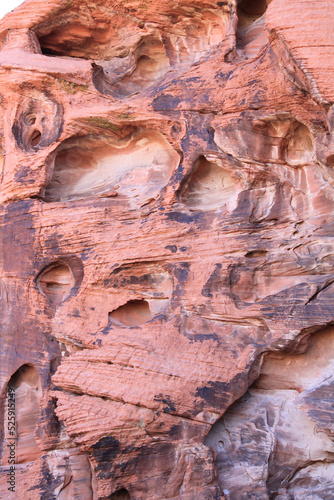 Ancient water sculpted rough nooks and crannies throughout red rock landscape within desert canyon wall