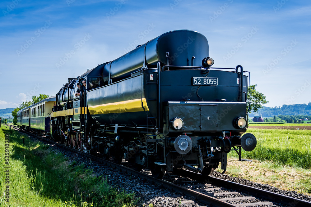 Naklejka premium Dampflock DLM