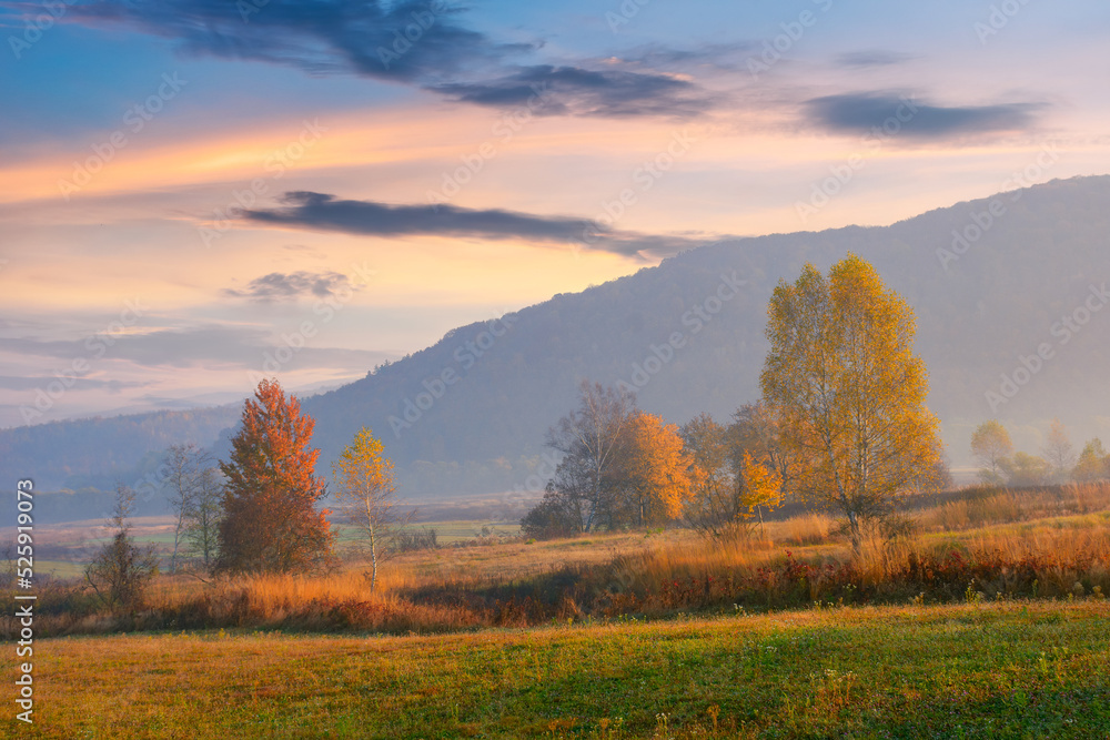 rural fields in autumnal countryside. colorful landscape on a hazy morning