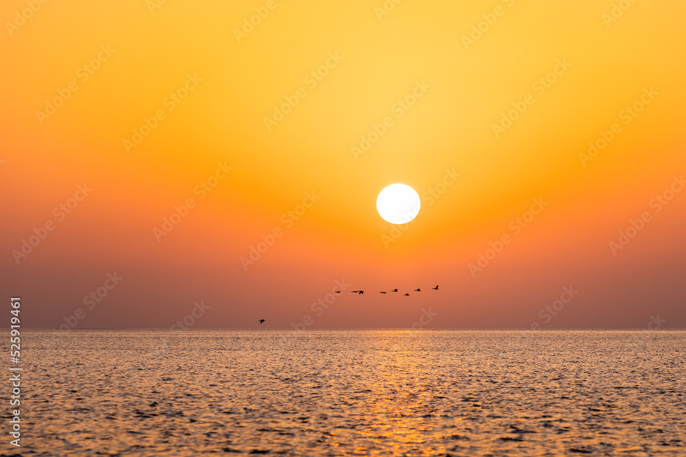 Cormorants flying over Persian Gulf in Saudi Arabia at sunset
