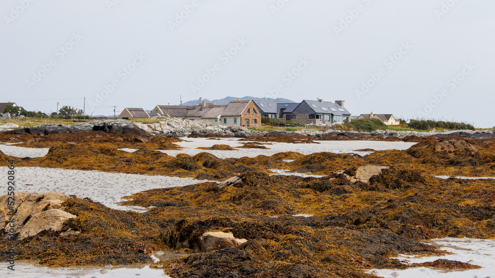 View of the irish coast with some holiday homes in the distance