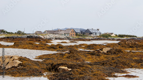 Obraz na płótnie View of the irish coast with some holiday homes in the distance w salonie