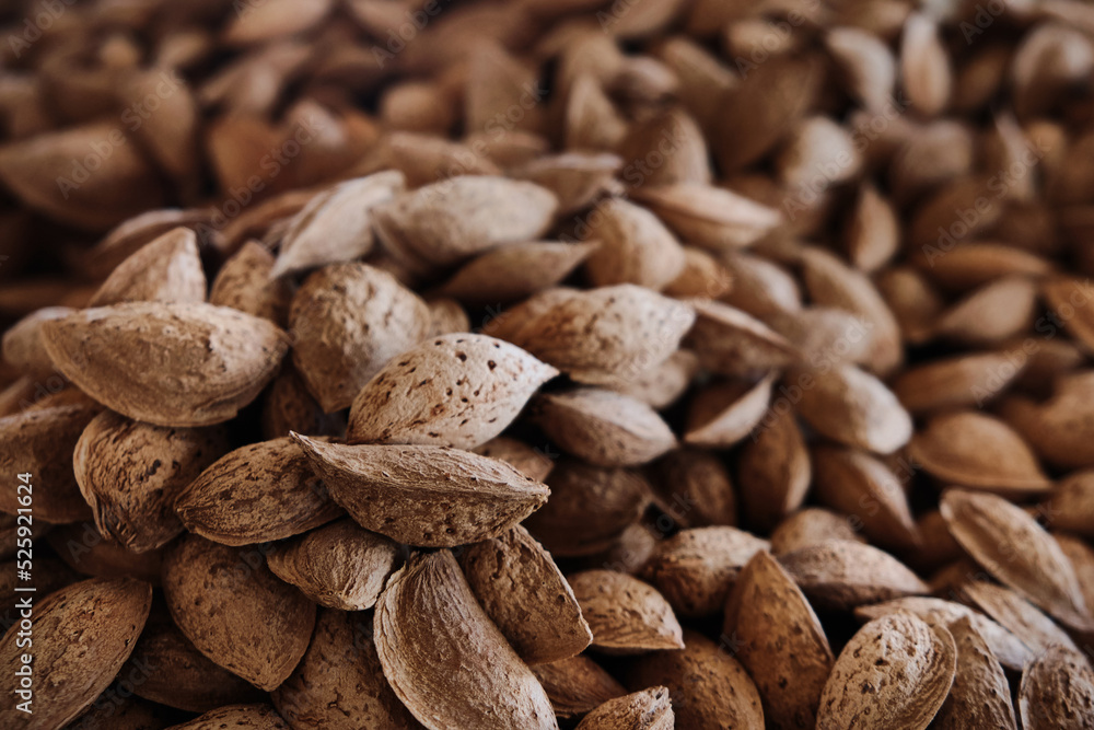Heap of almond kernels in a nutshell. Heap of almond kernels in a nutshell.