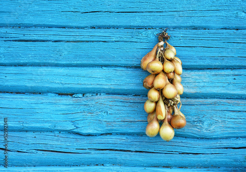 Garland made of onions is hanged on a wooden blue wall to dry up for conservation. Rustic log background. copy space,