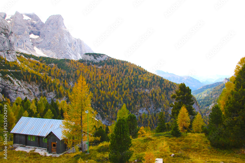 Panoramic view from the top of a mountain full of green vegetation. ecological tourism Panoramic view from the top of a mountain full of green vegetation. ecological tourism