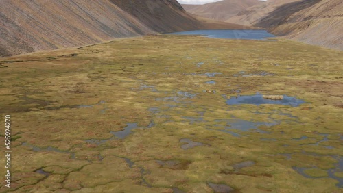 4k Aerial shot for amazon river and the rain forest in brazil rainforest.
shot on MAVIC 2 PRO hasselblad rendered prores 422HQ REC709
