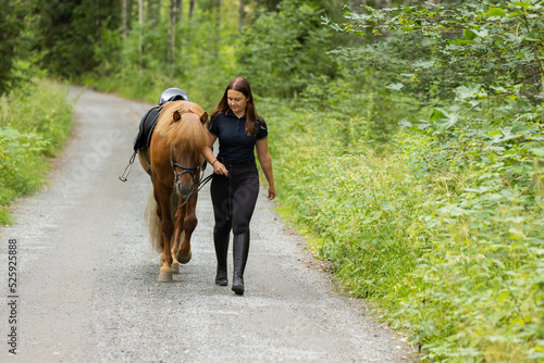 Icelandic horse with female rider. Horse and rrider walk side by side. © AnttiJussi