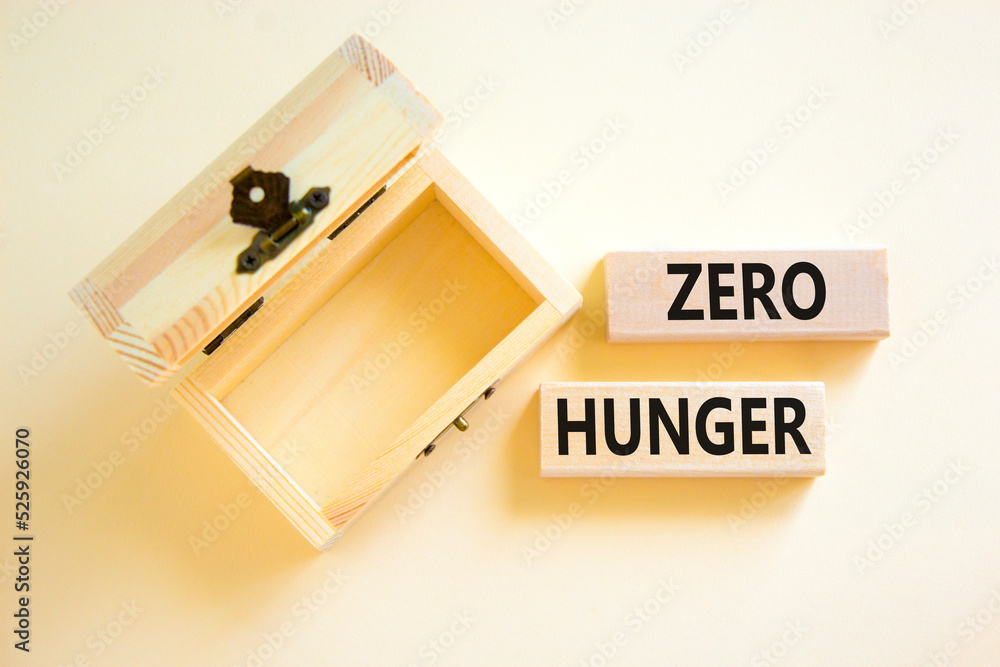 Zero hunger symbol. Concept words Zero hunger on wooden blocks on a beautiful white table white background. Empty wooden chest. Business, support and Zero hunger concept. Copy space. Zero hunger symbol. Concept words Zero hunger on wooden blocks on a beautiful white table white background. Empty wooden chest. Business, support and Zero hunger concept. Copy space.