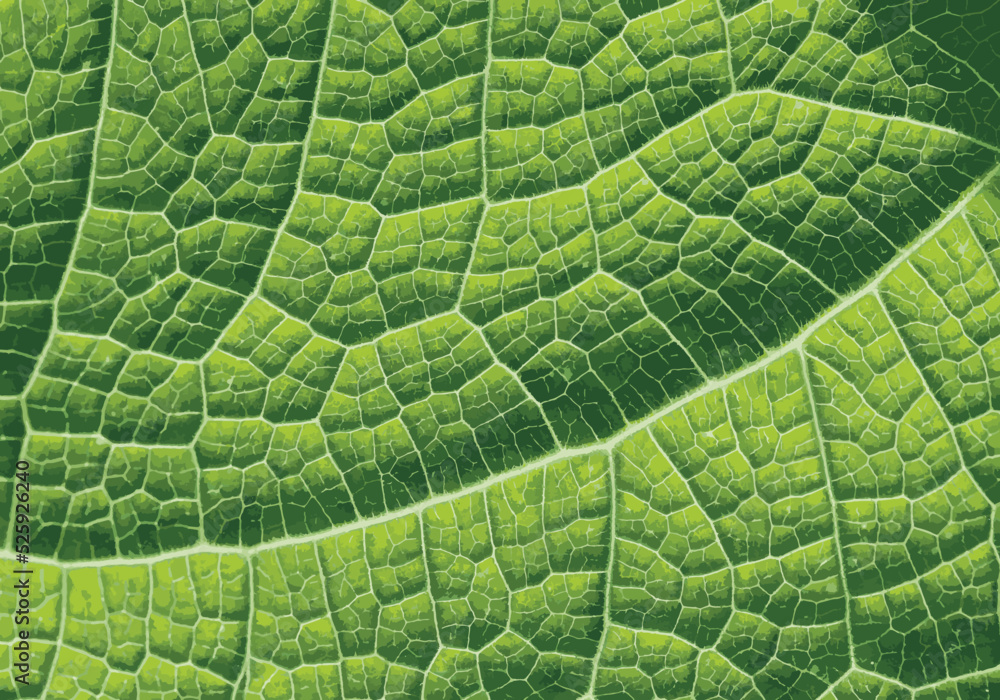 Green Leaf Texture with Veins Pattern Vector Illustration for graphics design, fabric, background, print tee and other uses. Green Leaf Texture with Veins Pattern Vector Illustration for graphics design, fabric, background, print tee and other uses.