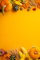 Autumn harvest concept. Top view vertical photo of raw vegetables pumpkins maize apple walnuts sunflowers wheat physalis and rowan berries on isolated orange background with copyspace