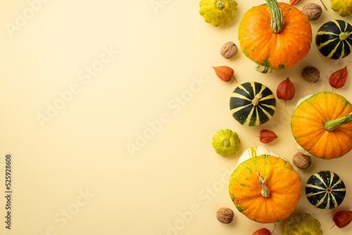 Thanksgiving day concept. Top view photo of raw vegetables pumpkins pattypans walnuts and physalis on isolated beige background with empty space