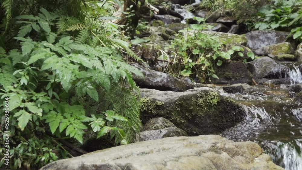 Small mountain waterfall in the forest. Natural landscape Small mountain waterfall in the forest. Natural landscape