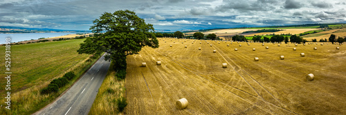 Aerial view of a wheat field on the black isle near the Cromarty firth and Inverness in the north east highlands of Scotland
