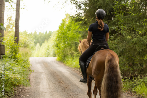 Icelandic horse with female rider on saddle. Rider wearing helmet. photo