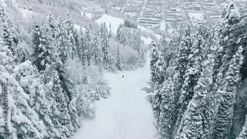 Amazing views on magical snowy fir trees on mountain covered with fresh snow. Cinematic aerial skiing on winter vacation. Aspen town panorama skiing of two ski professionals in Colorado mountains photo