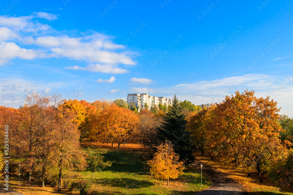 View of the city park at autumn