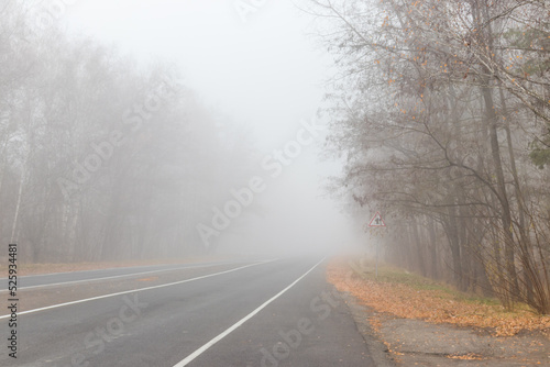 Foggy asphalt road through a forest at autumn