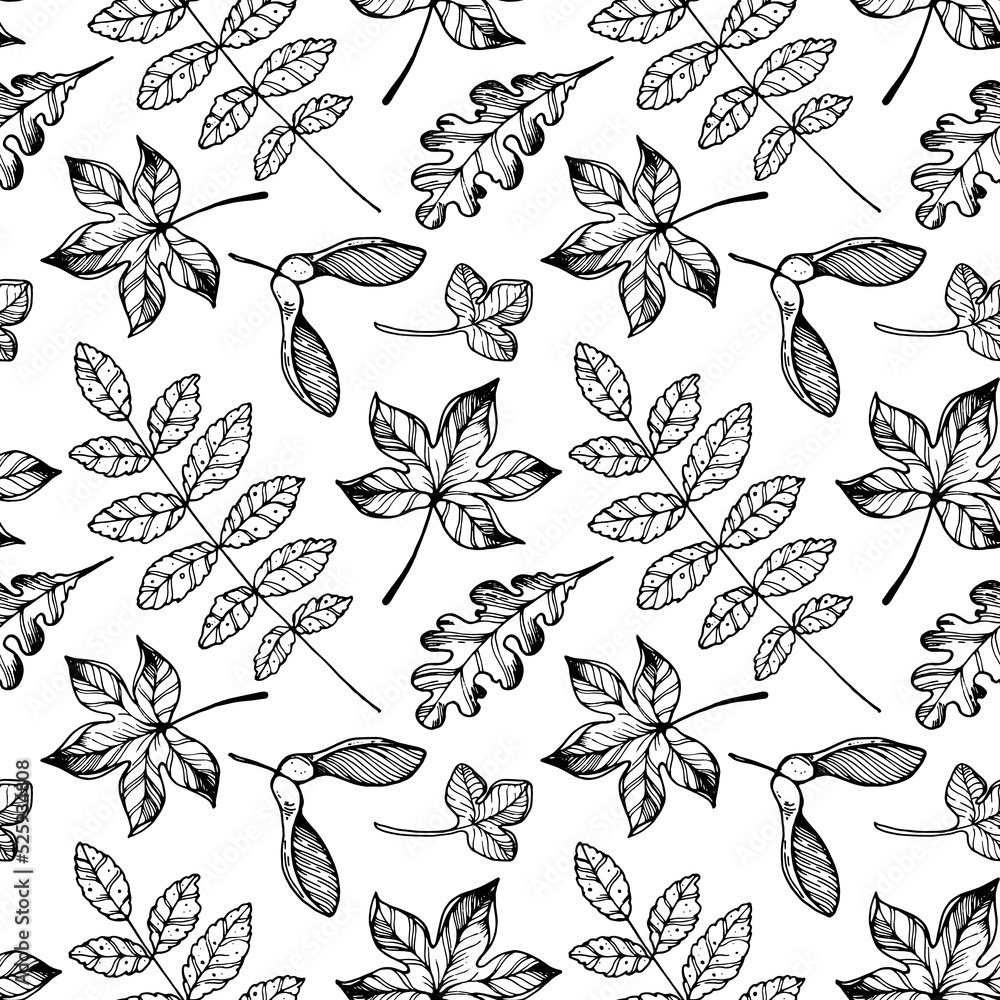 Fototapeta premium Autumn leaf seamless pattern. Hand drawn backdrop. Thanksgiving background. Fall design for wrapping paper or fabrics and other