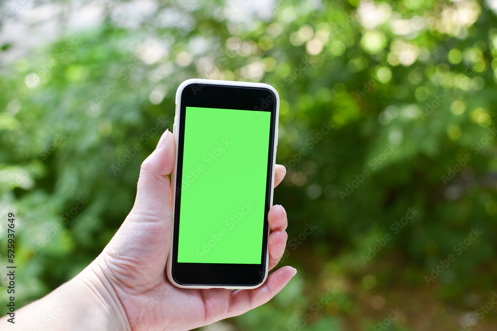 Women's hands are holding a smartphone with an empty screen. Chromakey. Place to copy. Women's hands are holding a smartphone with an empty screen. Chromakey. Place to copy.