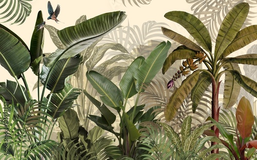 Fotografia Tropical plants wallpaper design, Jungle background, big leaf and bird, back yard, landscape, mural art