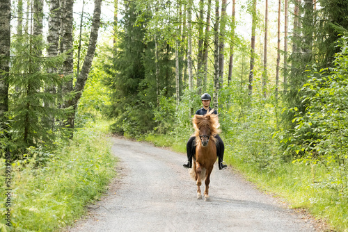 Icelandic horse with female rider on saddle. Rider wearing helmet.