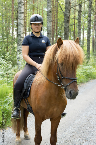 Icelandic horse with female rider on saddle. Rider wearing helmet.