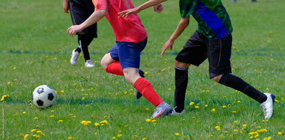 Fototapeta premium サッカー