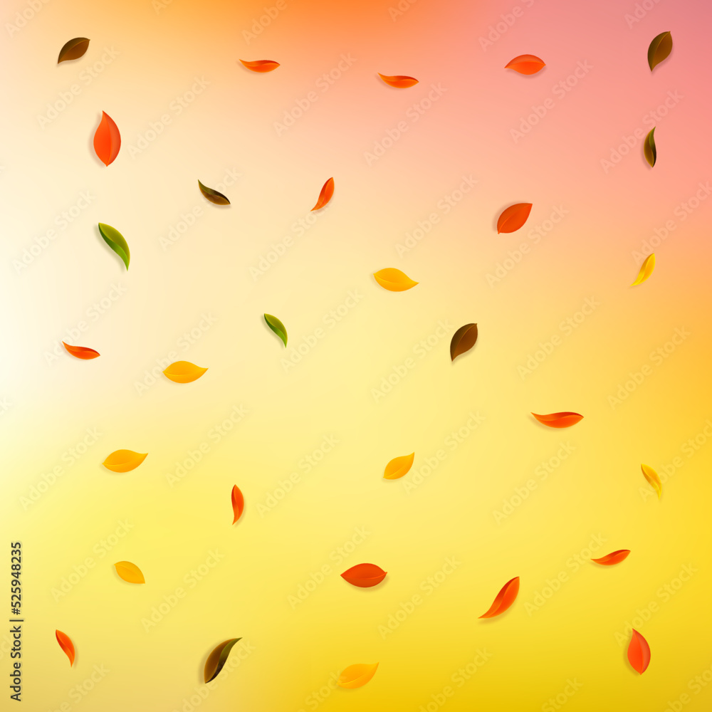 Falling autumn leaves. Red, yellow, green, brown r Falling autumn leaves. Red, yellow, green, brown r