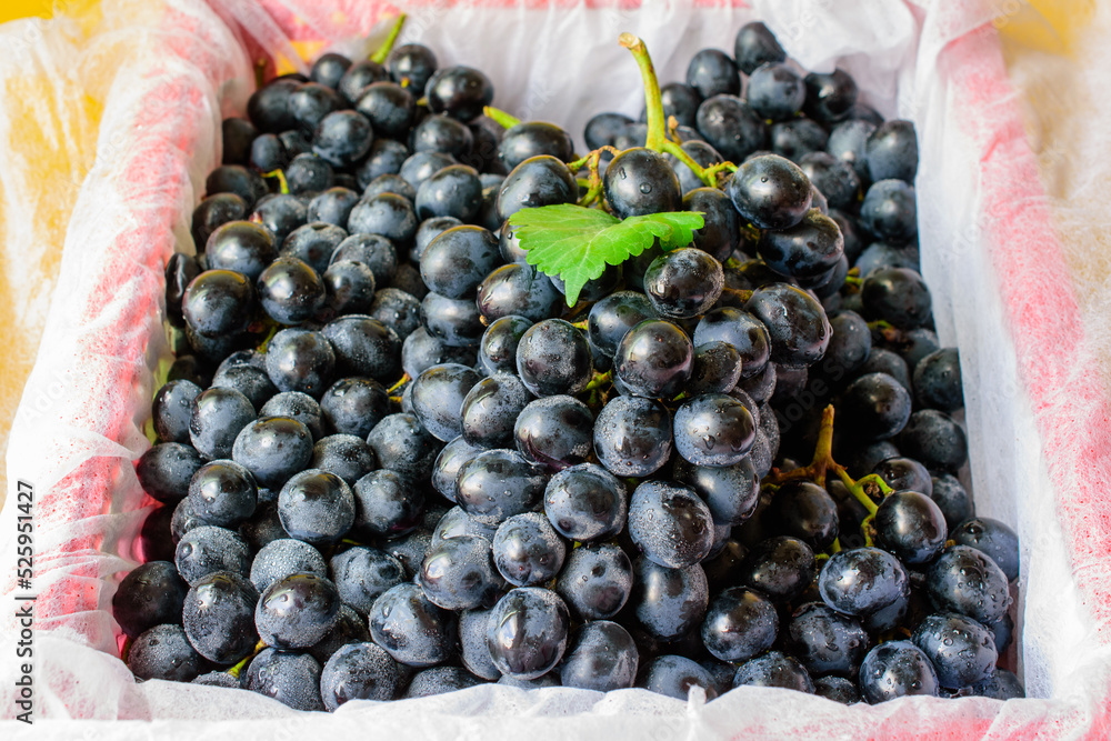 Fototapeta premium Black grapes candied fruit in white packaging.