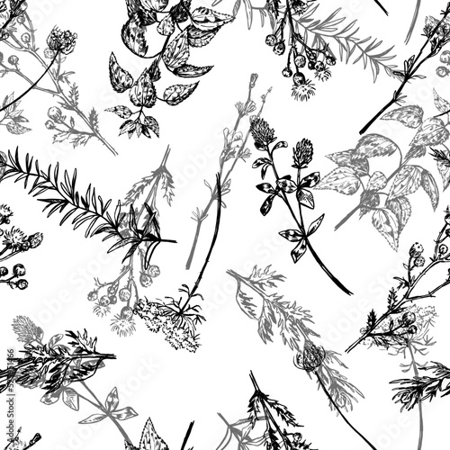 Wild plants, field flowers abstract ornament. Hand drawn vector seamless pattern. Floral ornament in retro sketch style. Vintage botanical design.