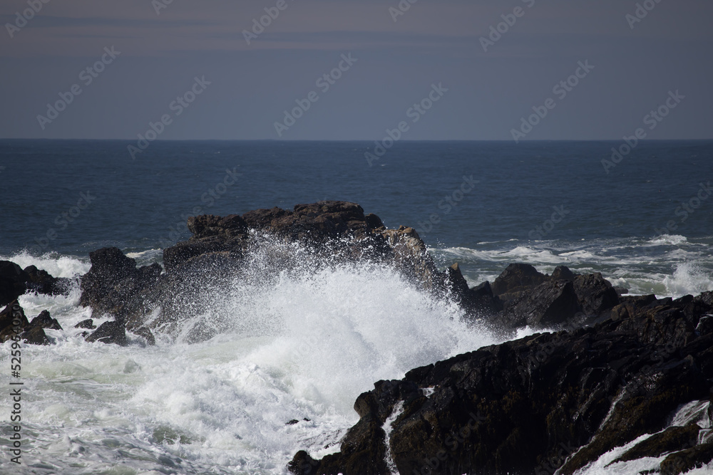 Ocean waves splashing on a rocky shore