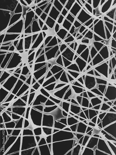 Neurons Black and white Illustration watercolor neurology mental health.