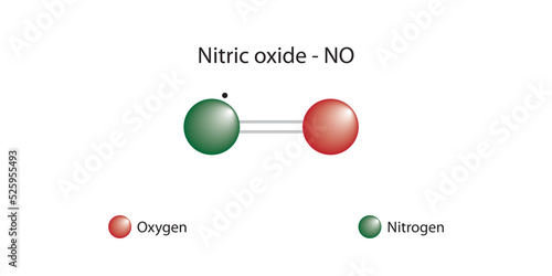 Molecular formula and chemical structure of nitric oxide photo