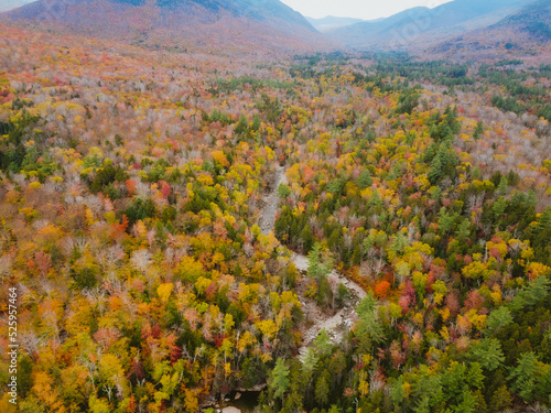 Fototapeta Naklejka Na Ścianę i Meble -  Aerial Franconia Falls trail in Autumn