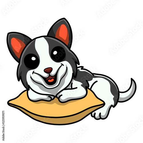 Cute border collie dog cartoon on the pillow