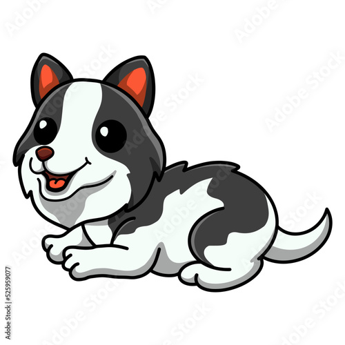 Cute border collie dog cartoon sitting