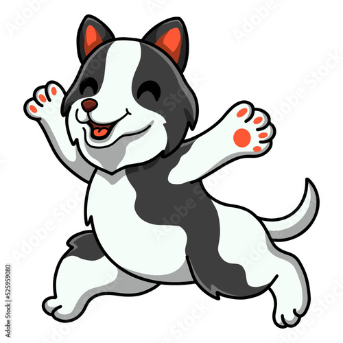 Cute border collie dog cartoon running