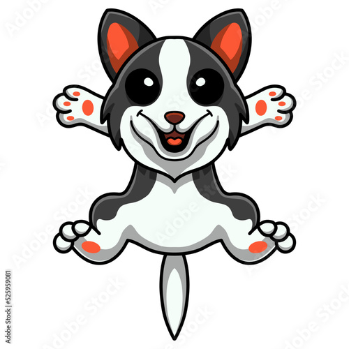 Cute border collie dog cartoon
