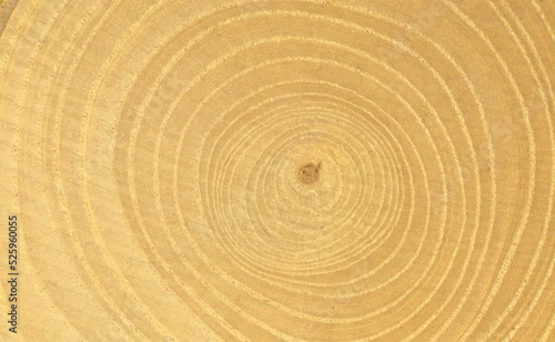 木目の背景素材 ベクター素材