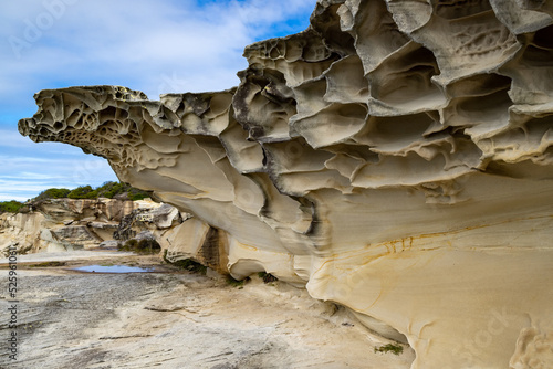 Photography Sandstone Weathering along cliffs of Malabar National Park, Sydney Australia