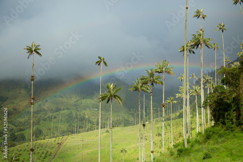 Paisaje en eje cafetero Colombia
valle del cocora
arcoiris
 photo