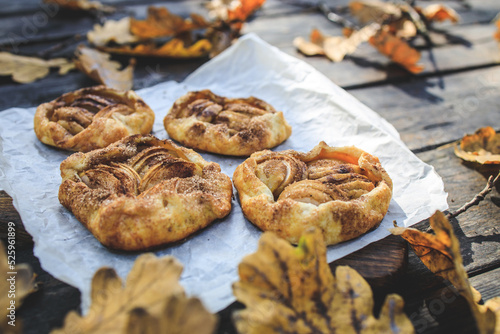 rustic traditional french biscuit cake with apples in autumn style