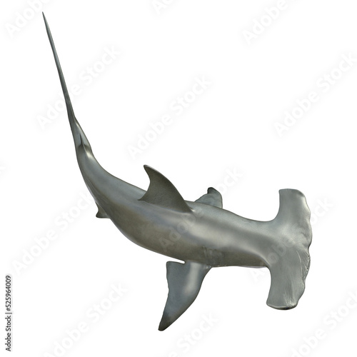 Shark 3D rendering